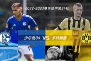 沙尔克零四连胜势头被打断，重整旗鼓