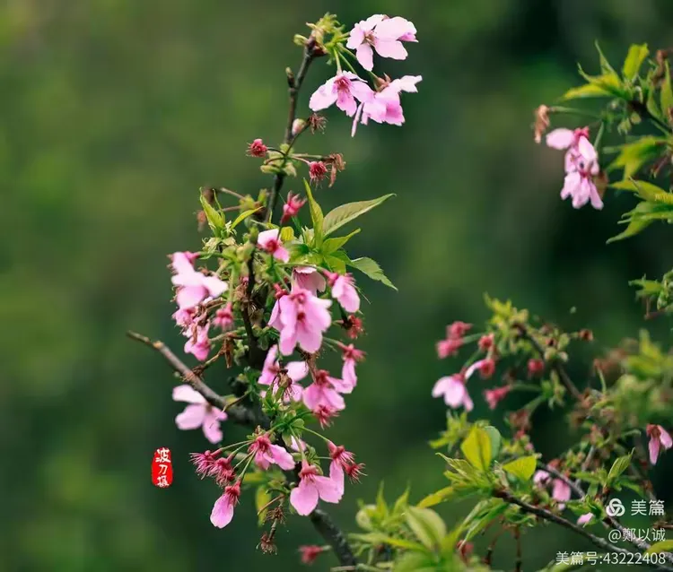 逍遥队多点开花，取得胜利关键